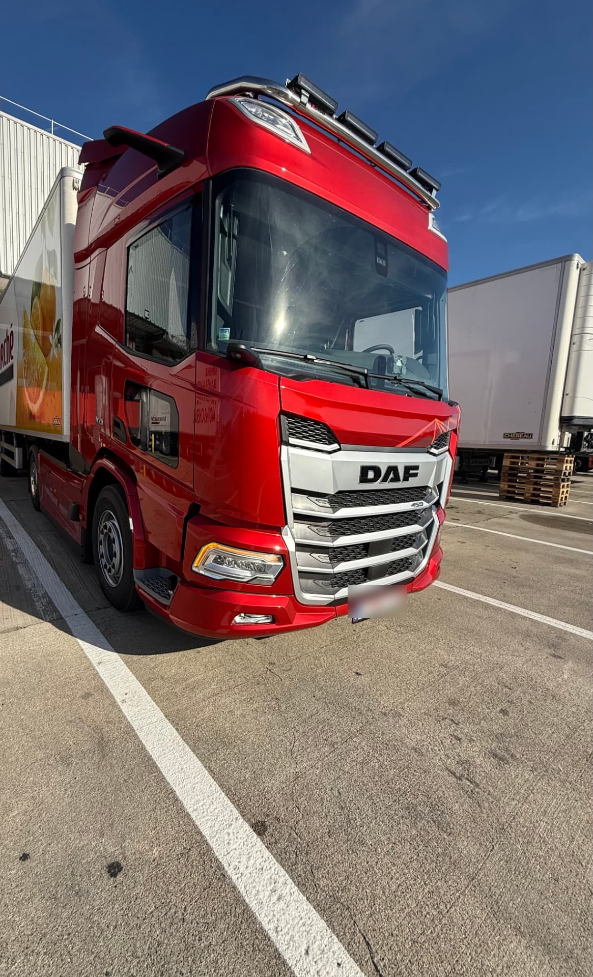 Tracteur DAF XD rouge de DAVE LOGISTICS avec remorque frigorifique