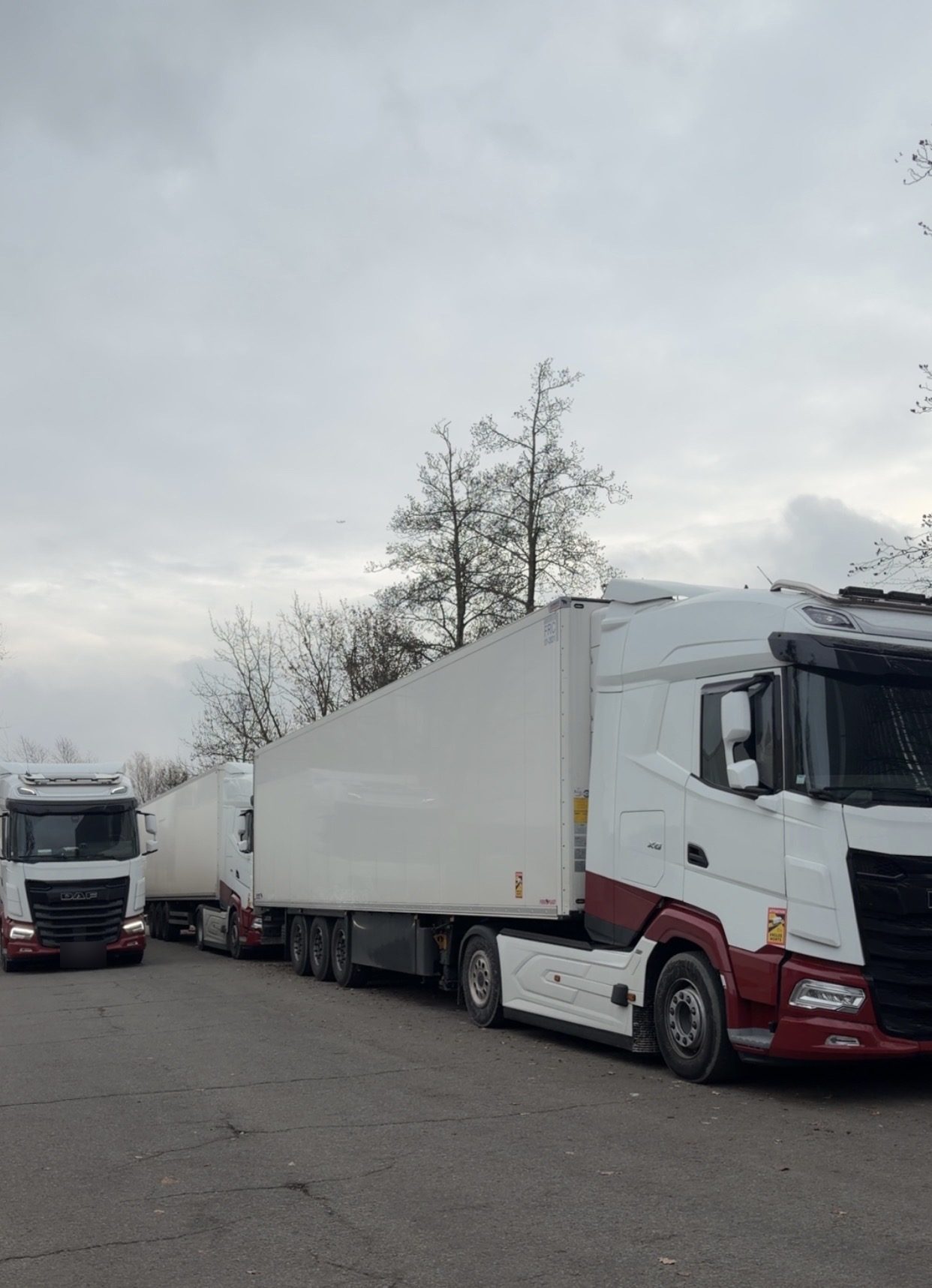 Deux ensembles frigorifiques DAF de DAVE LOGISTICS